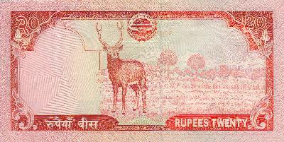 Beschrijving achterzijde: STAG